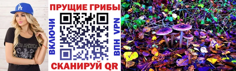 Псилоцибиновые грибы Psilocybe  Аргун 